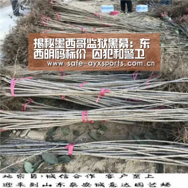 揭秘墨西哥监狱黑幕:东西明码标价 囚犯和警卫分赃‘爱游戏平台’(图1) 爱游戏体育下载