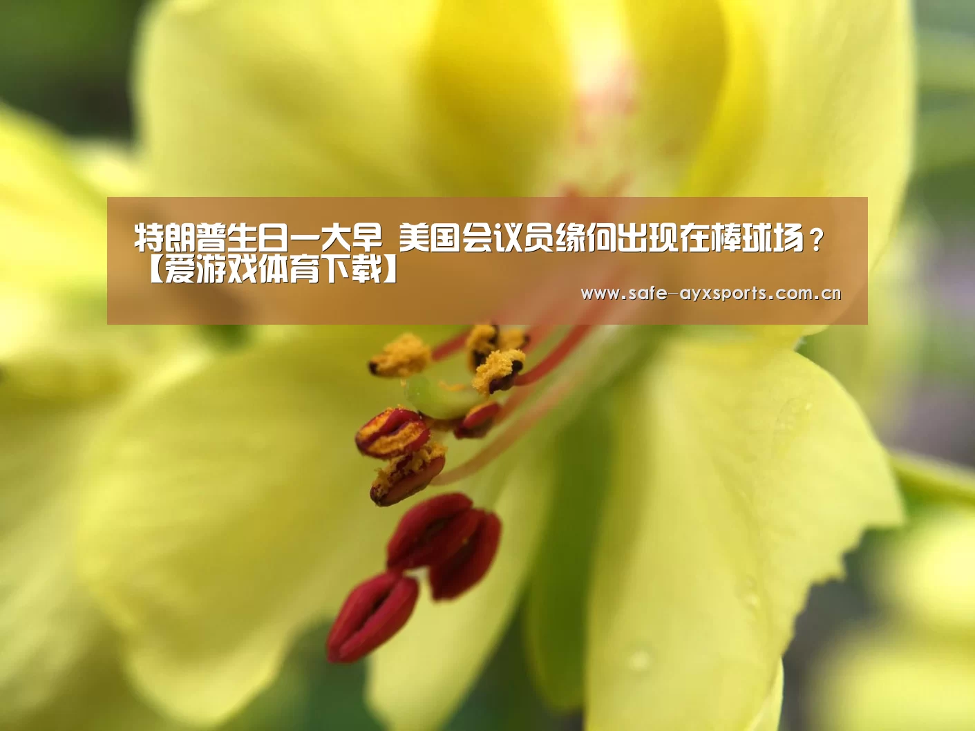 爱游戏体育下载