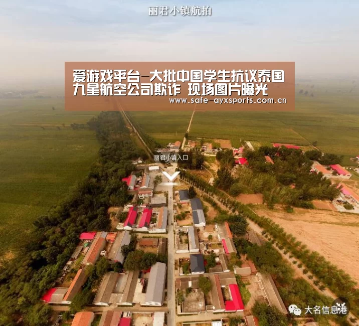 爱游戏平台-大批中国学生抗议泰国九星航空公司欺诈 现场图片曝光(图1) 爱游戏体育下载