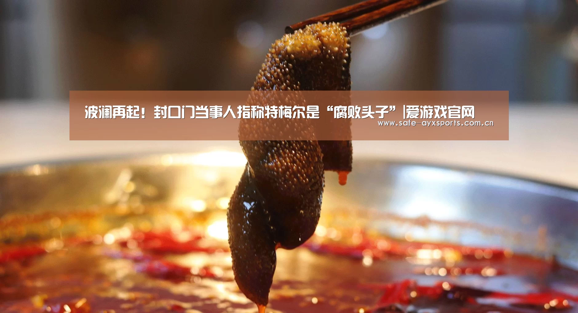 波澜再起！封口门当事人指称特梅尔是“腐败头子”|爱游戏官网