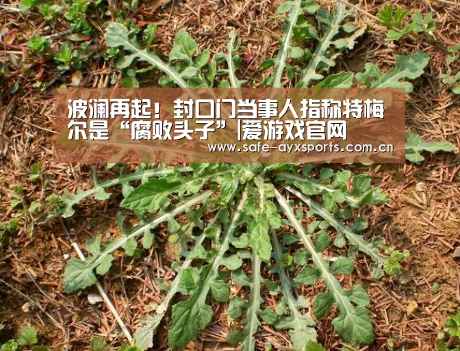 波澜再起!封口门当事人指称特梅尔是“腐败头子”|爱游戏官网(图2) 爱游戏平台