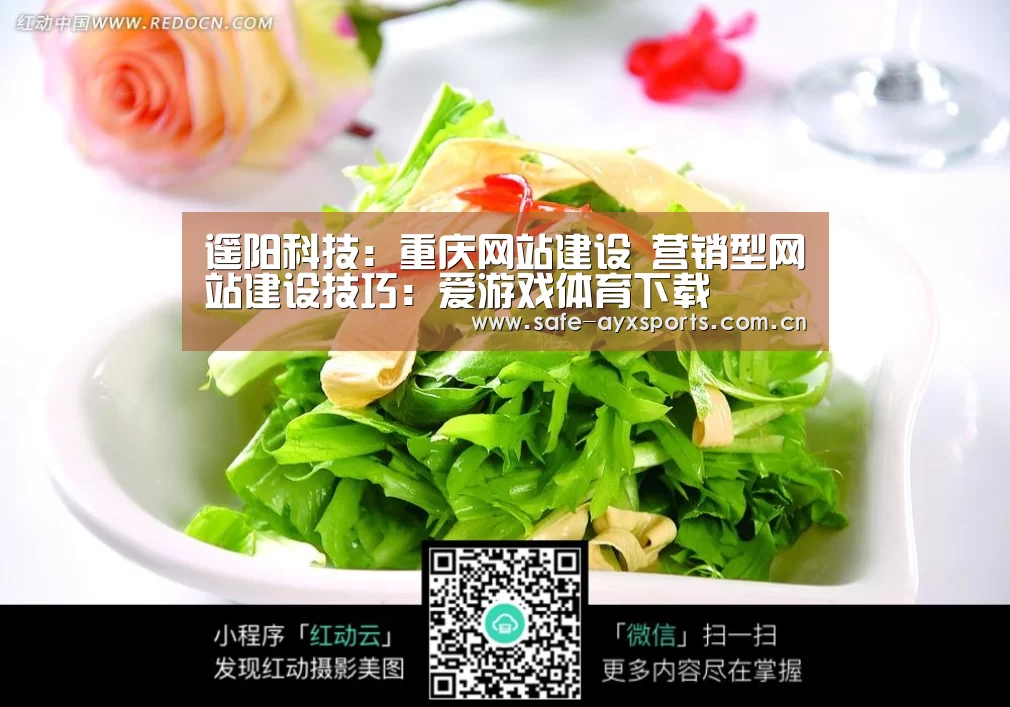 体育赛事直播